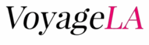 voyoge.png